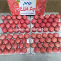 Pommes rouges de Fuji